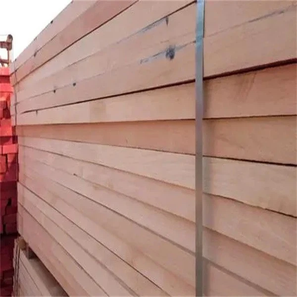 beech-wood-sheet202408120144056f6c0